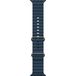 Apple Watch Ultra 2 49 mm Titanium Case Ocean Band Blue - 