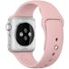   Apple Watch 42/44/45/49mm    - 