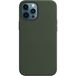 Задняя накладка для iPhone 12 Pro Max MagSafe кипрский зеленый Silicone Case Apple - Цифрус