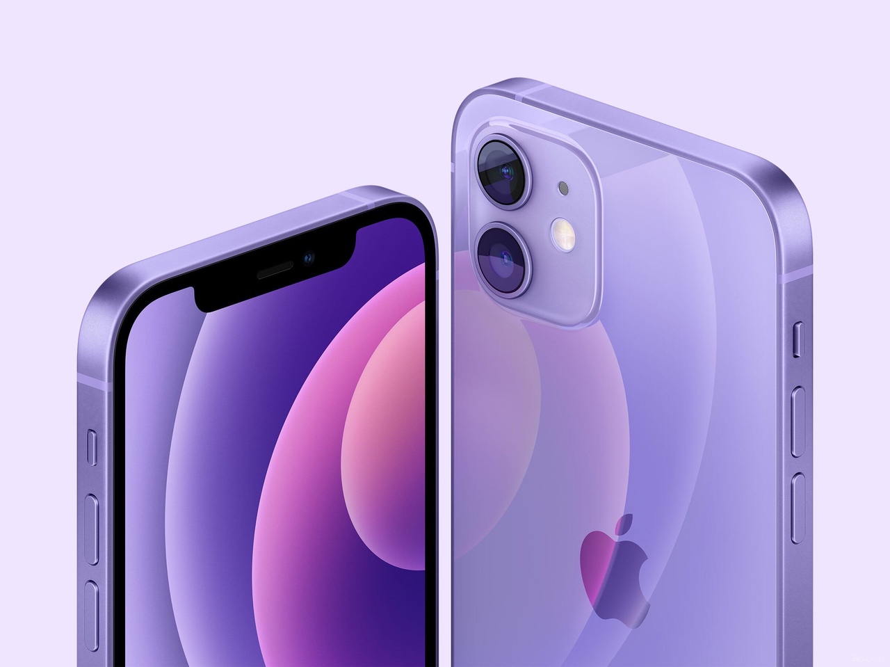 iPhone 12    Purple.