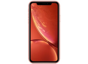      iPhone (  iPhone XR).