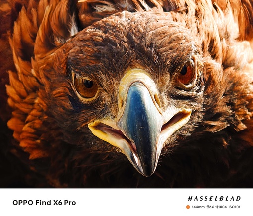      Oppo Find X6 Pro!