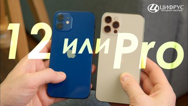  iPhone 12  iPhone 12 Pro   ?