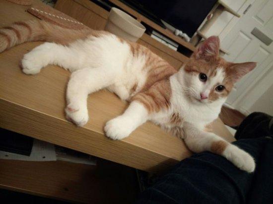 C:Users-Desktop1490647461_obzor-htc-u-play-foto-20.jpg